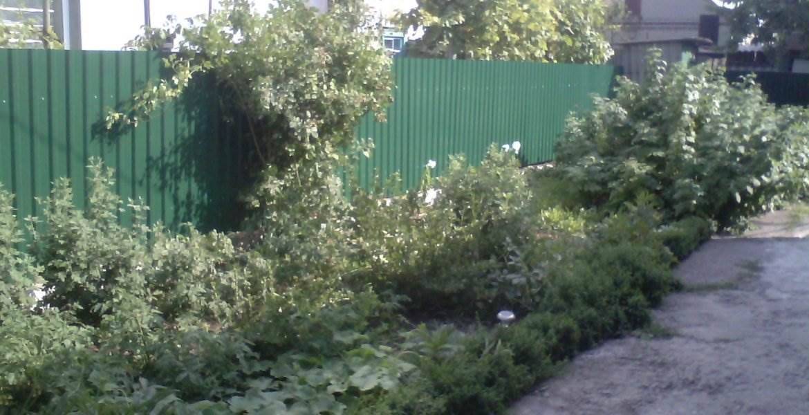 Забор из профнастила