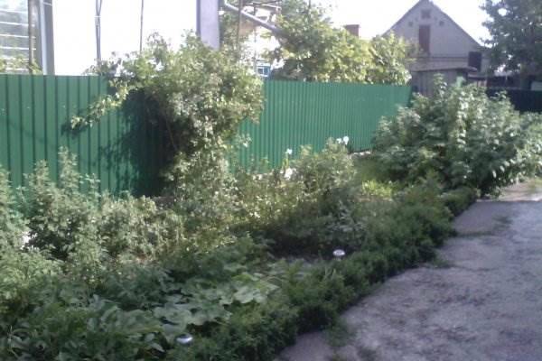 Забор из профнастила