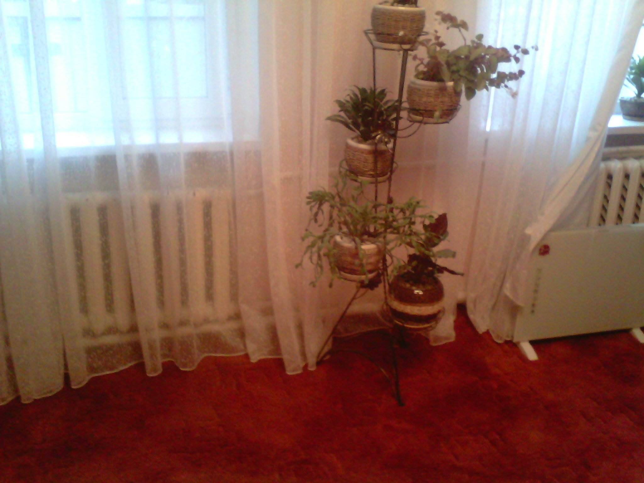 Ремонт комнаты в доме